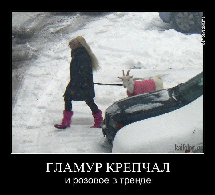4497432_353u (700x634, 71Kb)