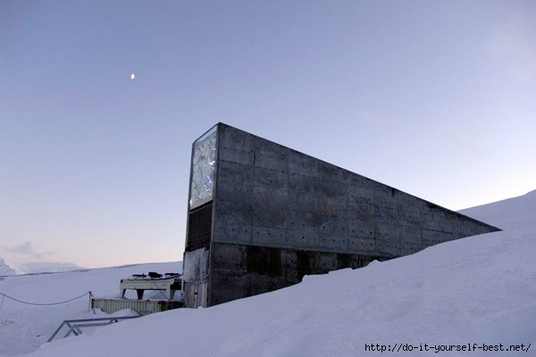 semenoxranilishhe-svalbard-2 (600x400, 104Kb)