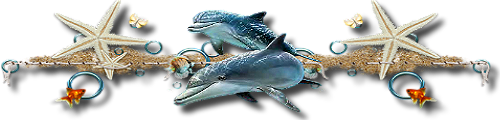 (500x120, 99Kb)