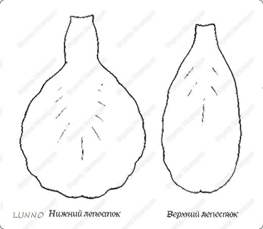 способ создания ИРИСА из креповой бумаги (1) (520x453, 86Kb)