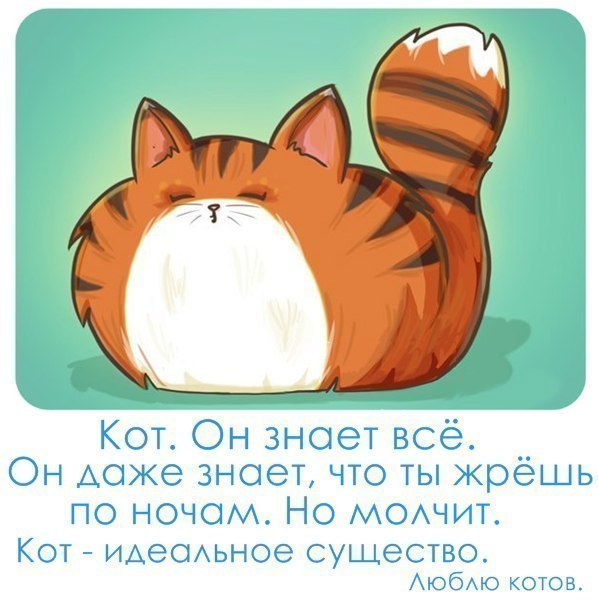 3491107_UjlXAPFs030 (598x599, 59Kb)