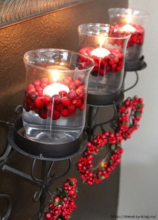 cranberry-christmas-decor-ideas-18 (504x700, 251Kb)