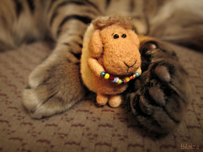 IMG_3165 (700x525, 195Kb)