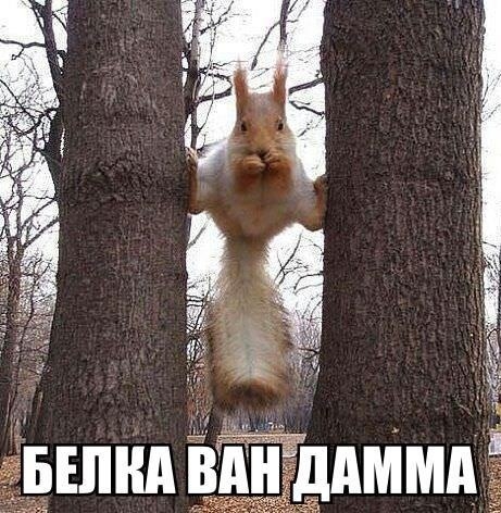 1387486660_www.radionetplus.ru-4 (461x472, 169Kb)