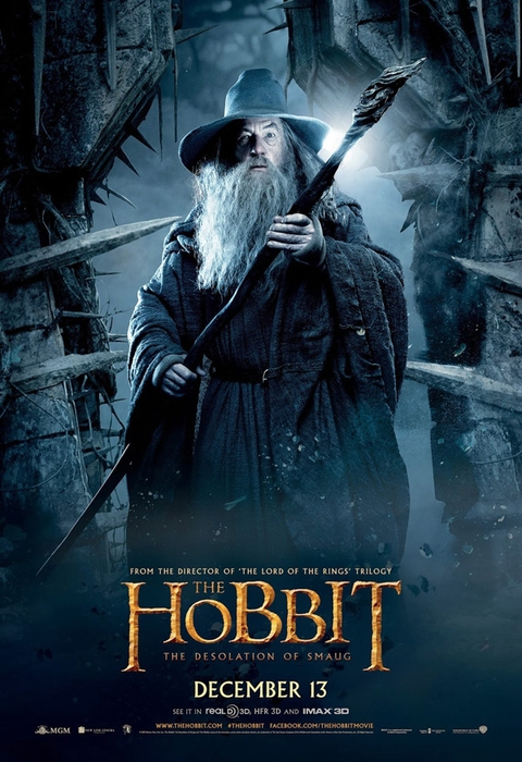 hobbit2_poster19 (480x700, 271Kb)