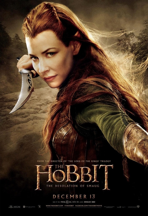 hobbit2_poster12 (480x700, 263Kb)