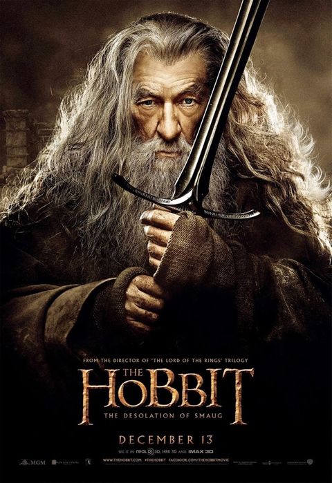 hobbit2_poster10 (480x700, 258Kb)