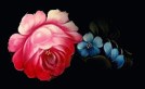 5043945_32b945a56ed7 (134x82, 21Kb)