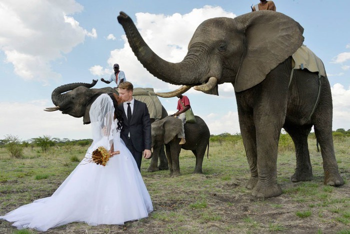 african safari wedding (1)