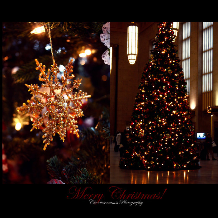 3303834_merry_chrismas_13 (700x700, 136Kb)