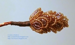  beaded-pinecone-17 (320x192, 36Kb)