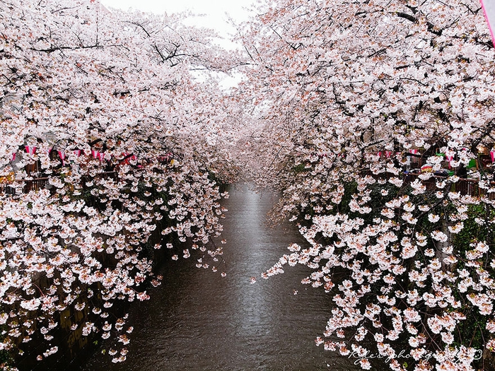 3 (700x525, 437Kb)