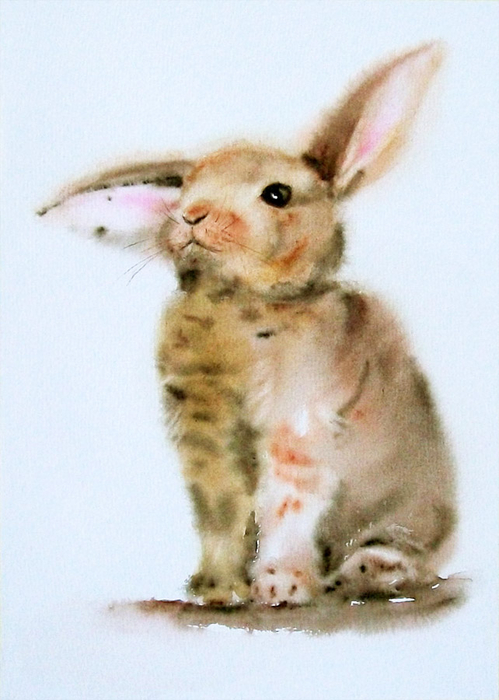 sad_rabbit___adorable_bunny_by_stokrotas-d665b2a (499x700, 309Kb)