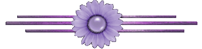 0b2e4628ab31562e47b8066d90a3261a (400x98, 11Kb)