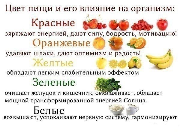 книга правильного питания для похудения скачать бесплатно книга правильного питания для похудения скачать бесплатно