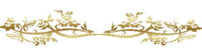 0_53507_9705b00b_L (400x100, 41Kb)