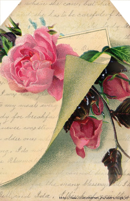 Pink rose note ~ gift tag~ lilac-n-lavender (451x700, 280Kb)