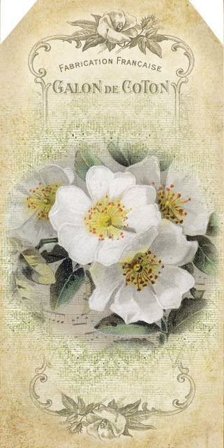 grungy texture white roses tag (321x640, 215Kb)