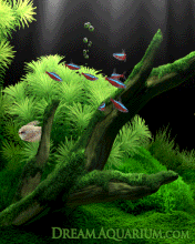 dreamaqua_176_220 (176x220, 871Kb)