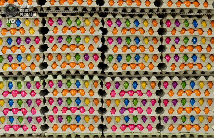 пасхальные яйца фото 11 (700x452, 563Kb)