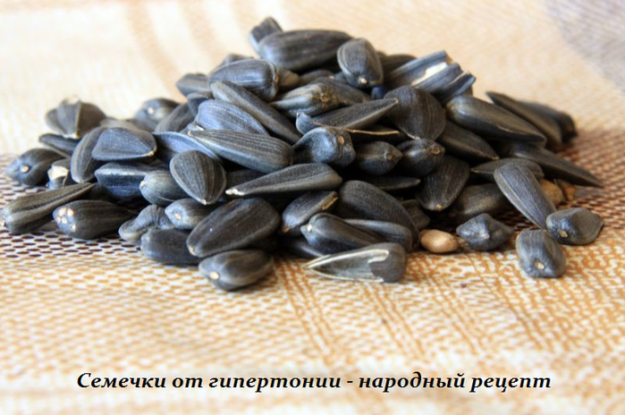 5365358_Semechki_ot_gipertonii__narodnii_recept (700x464, 490Kb)