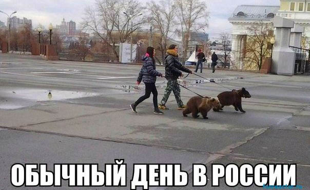 4498623_ya_medved3 (604x371, 77Kb)