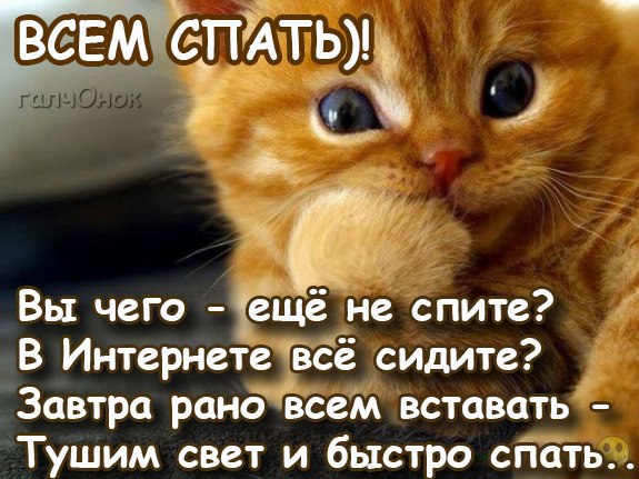 http://img0.liveinternet.ru/images/attach/c/9/126/234/126234068_PZL9WurIW4s.jpg