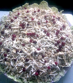 salat_iz_kalmarov_shedevr_9484 (310x350, 65Kb)