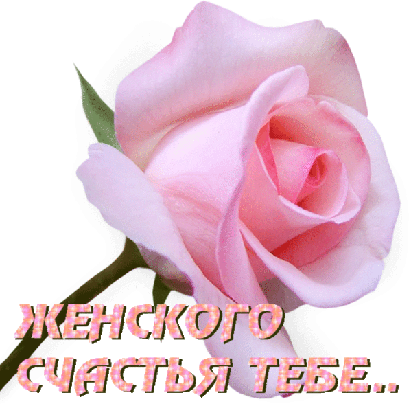 Поздравления с днём рождения с пожеланиями женского счастья Поздравления с днём рождения с пожеланиями женского счастья