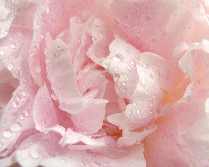 1827016_765820_original (700x560, 242Kb)