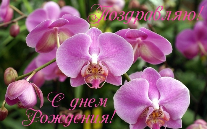 125993470_4809770_d44 (700x437, 135Kb)