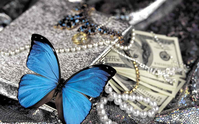 butterfly-money-4-Size-Wall-decoration-Canvas-Poster-Print-min (700x437, 311Kb)