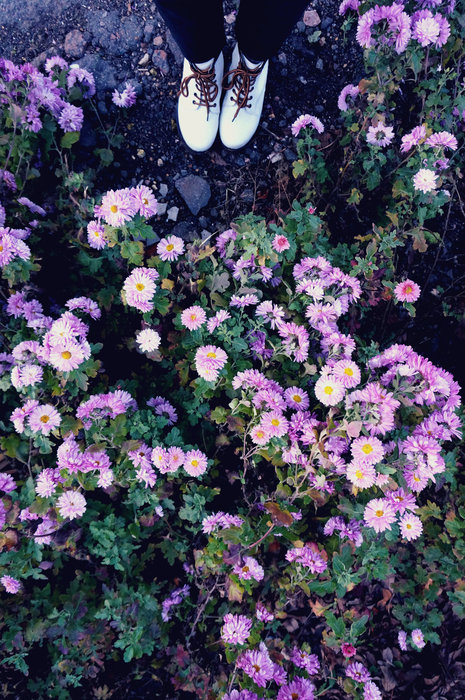 (465x700, 165Kb)