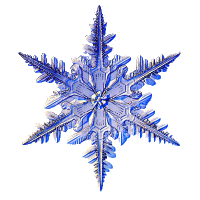 200_s (200x200, 17Kb)