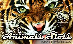13_Animals (250x150, 14Kb)