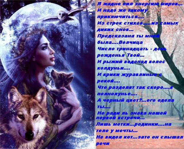 Стих с черного волка Стих с черного волка
