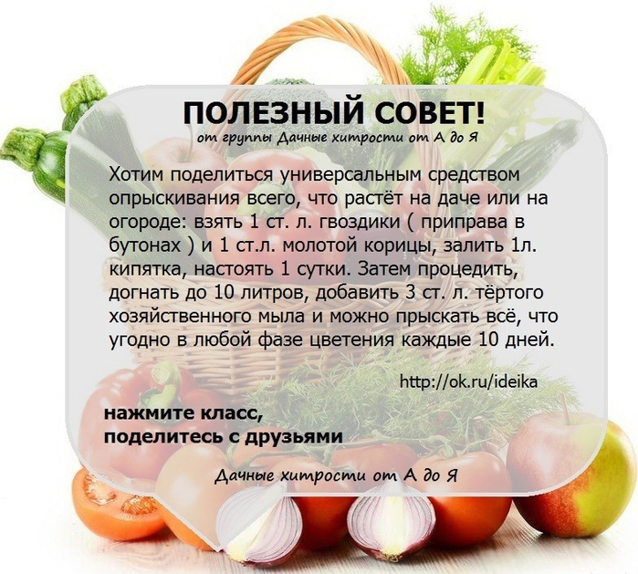 Поделки для детского сада 5-6 лет Поделки для детского сада 5-6 лет