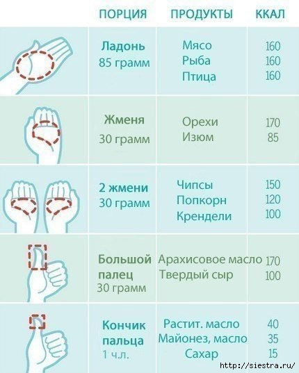 5463572_kak_izmerit_porciu_v_ladoni (430x537, 91Kb)