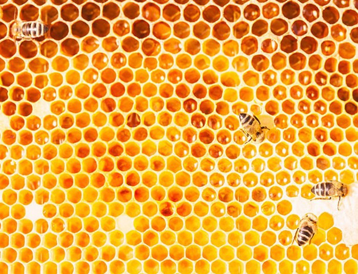 Какой вид мёда делает нас лучше?