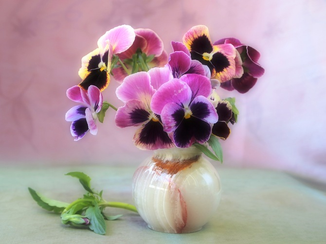 вазы с цветами 14 (670x502, 218Kb)