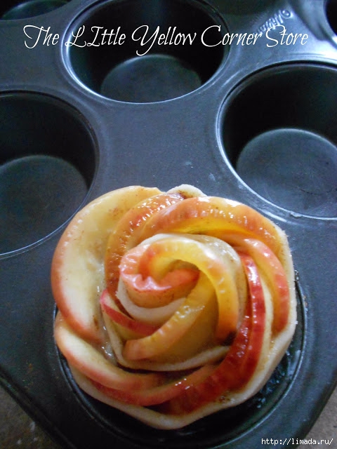 Apple Tart Rose in TinDSCN1478 (480x640, 188Kb)