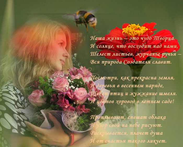 Открытки это наша жизнь Открытки это наша жизнь