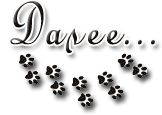 4036154_LAPKI_1_ (162x115, 20Kb)