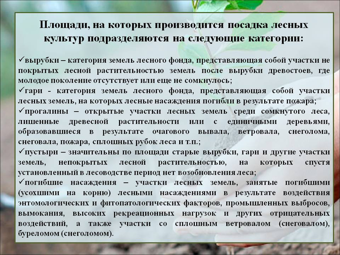 РЎР»Р°Р№Рґ5 (700x525, 415Kb)