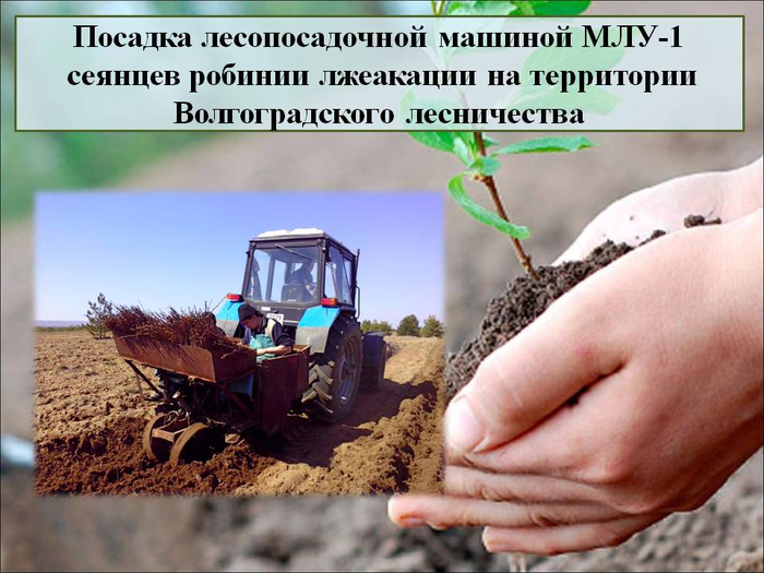 РЎР»Р°Р№Рґ7 (700x525, 358Kb)