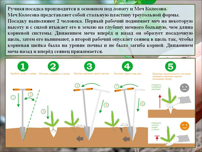 РЎР»Р°Р№Рґ9 (700x525, 351Kb)