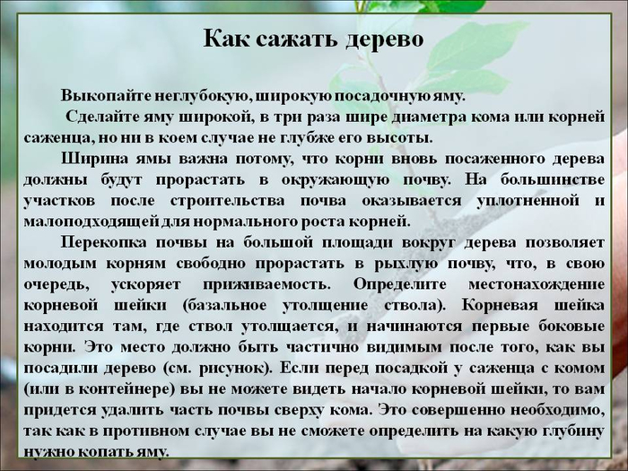 РЎР»Р°Р№Рґ13 (700x525, 407Kb)