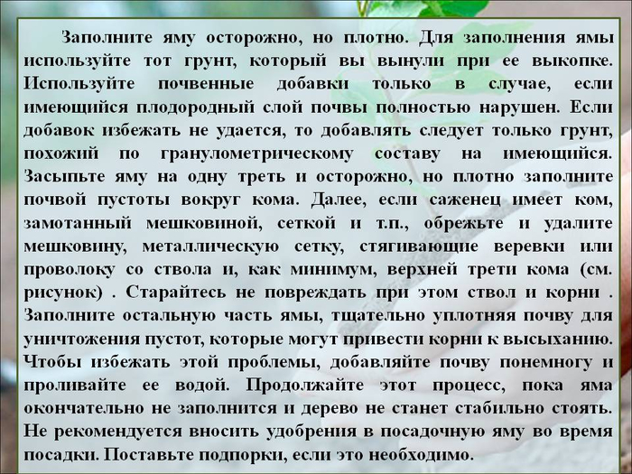 РЎР»Р°Р№Рґ17 (700x525, 431Kb)