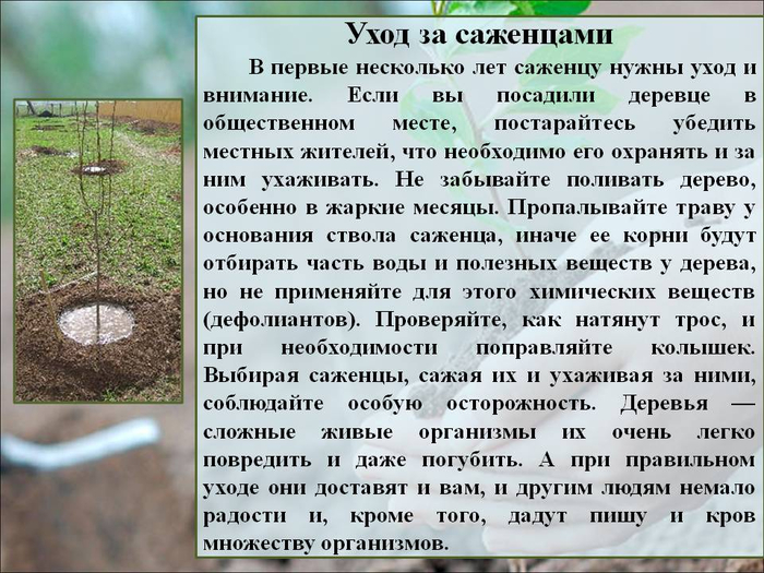 РЎР»Р°Р№Рґ20 (700x525, 405Kb)