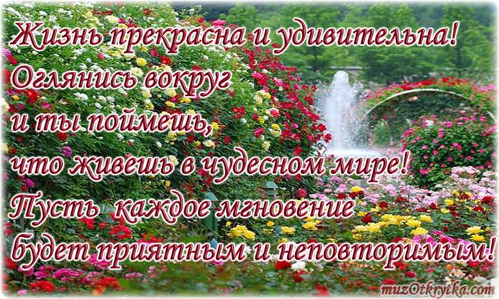 Открытки это наша жизнь Открытки это наша жизнь